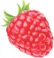 berry